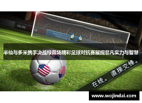 半仙与多米携手决战绿茵场精彩足球对抗赛展现非凡实力与智慧