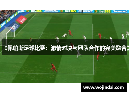 《佩帕斯足球比赛：激情对决与团队合作的完美融合》